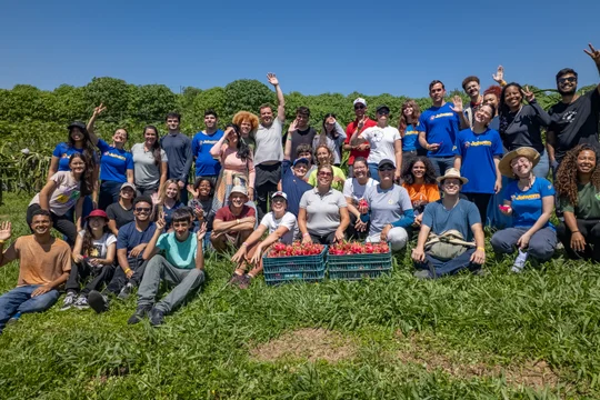 Capa da publicação