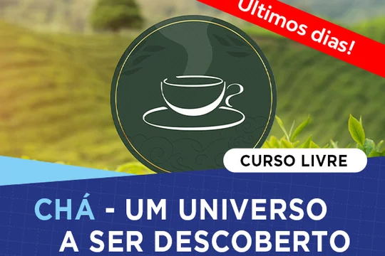 Capa da publicação