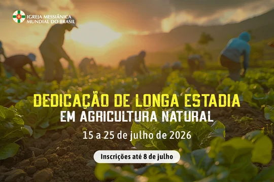 Capa da publicação