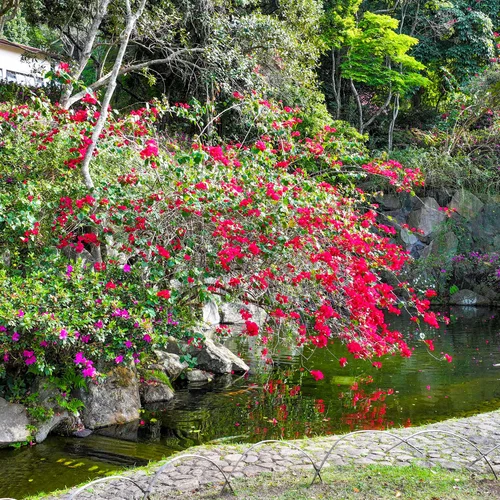 Imagem 13 da galeria Solo Sagrado de Guarapiranga