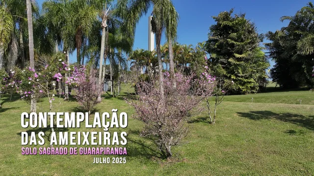 Capa do vídeo “Contemplação das Ameixeiras - Julho 2025 | Solo Sagrado de Guarapiranga”