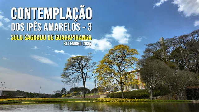 Capa do vídeo “Contemplação dos Ipês Amarelos - Solo Sagrado de Guarapiranga | Setembro / 2025”