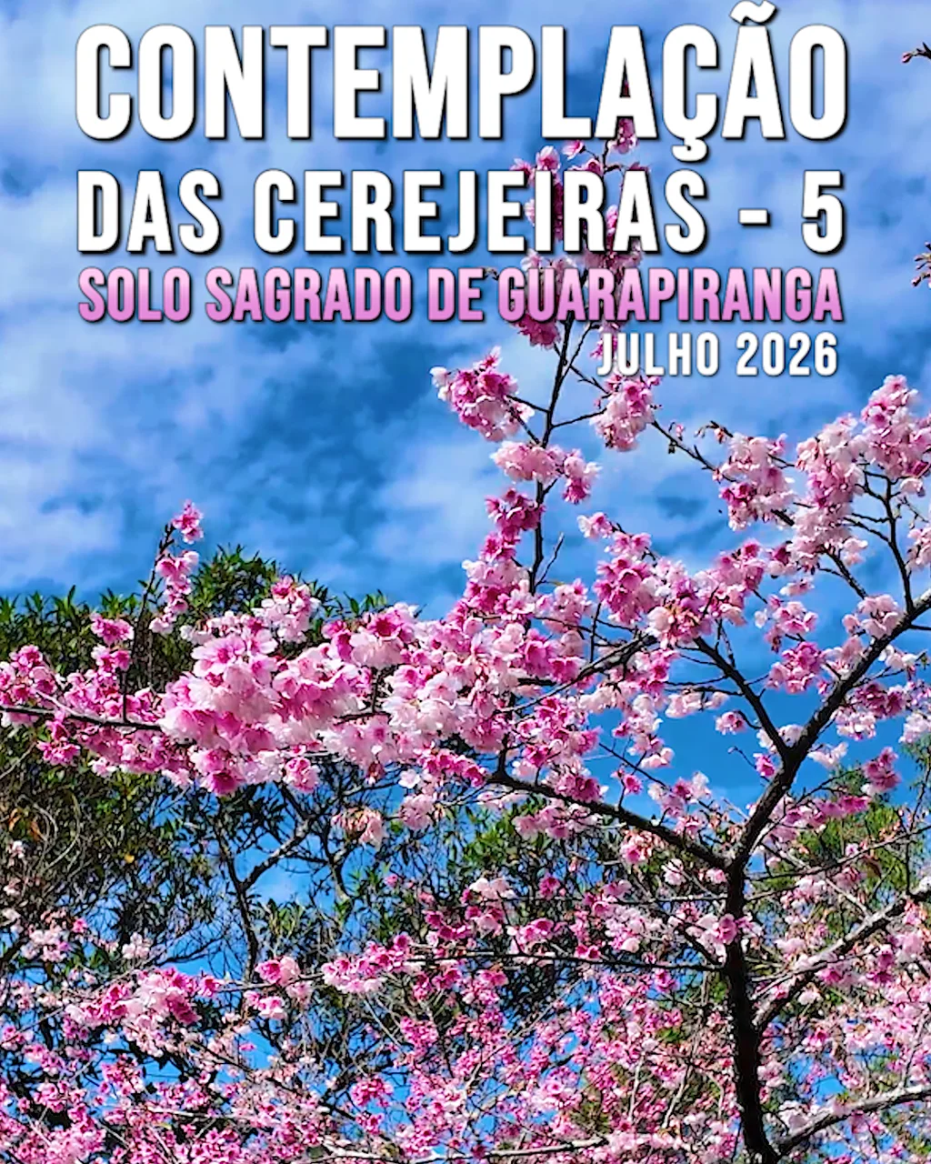 Capa do vídeo “Contemplação (5) das Cerejeiras no Solo Sagrado de Guarapiranga - Julho / 2026”