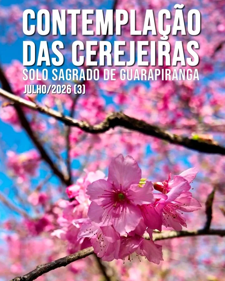 Capa do vídeo “Contemplação (3) das Cerejeiras no Solo Sagrado de Guarapiranga - Julho / 2026”